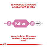 FHN-KITTEN---PRODUCTO-ADAPTADO
