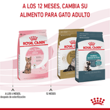 FHN-KITTEN-STERILISED---PRODUCTO-ADAPTADO