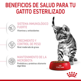 FHN-KITTEN-STERILISED---BENEFICIOS