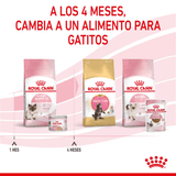 FHN-MOTHERANDBABY-CAT-LATA---PRODUCTO-ADAPTADO