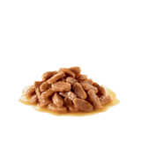 FHN-SPAYED-NEUTERED-LATA---TEXTURA