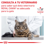 VHN-GASTRO-CAT---CONSULTA-A-TU-VETERINARIO