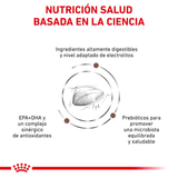 VHN-GASTRO-CAT---BASADA-EN-LA-CIENCIA