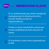 Thyro-TabsPerros0_2MG-7