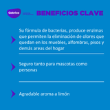 EliminadorDeManchasYOloresPerroNatureMiracle-7