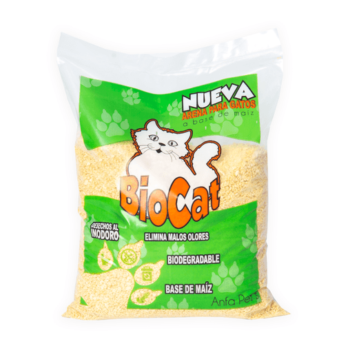 Proyecto-nuevo---2026-02-03T102225.282