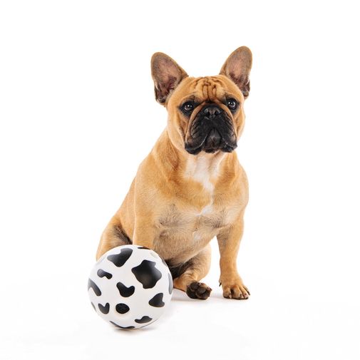 Pelota Interactiva Pongo Perro M-pets 14 cm
