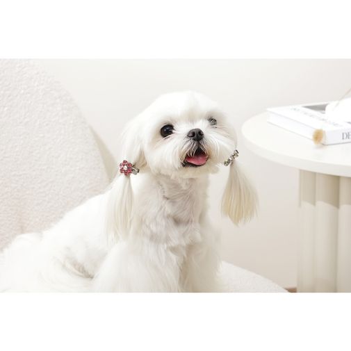Clip Flor Rosa/Blanco Glam mascotas M-pets 3 × 2 cm