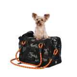 Proyecto-nuevo---2026-03-25T163136.547