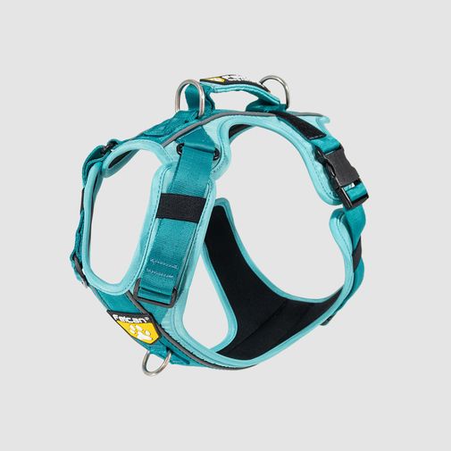Arnés D-Mountain Menta/Jade Felcan para perro S
