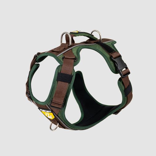 Arnés D-Mountain Verde / Chocolate Felcan para perro M