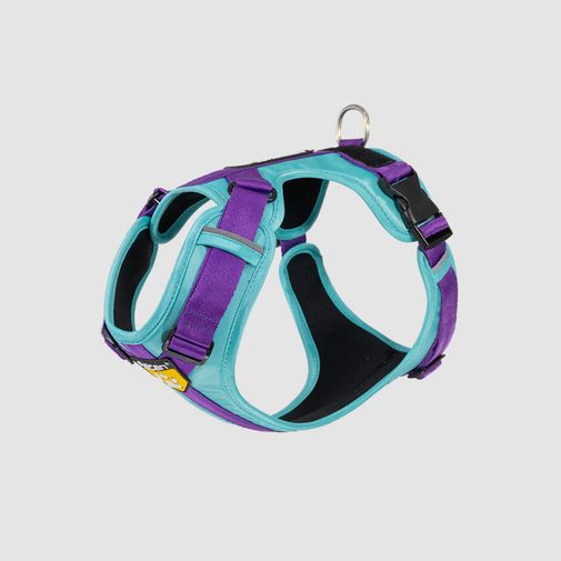 Arnés D-Urban Menta/Morado Felcan para perro S
