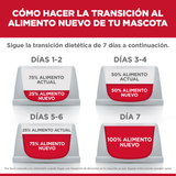 Proyecto-nuevo---2026-05-11T101054.313