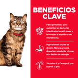 Proyecto-nuevo---2026-05-11T101041.456