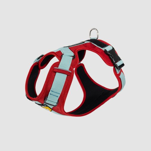Arnés D-Urban Rojo/Menta Felcan para perro S