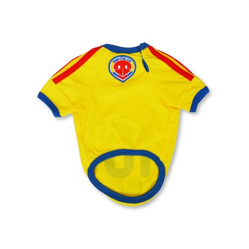 Camiseta Colombia para Mascotas WAWAW XS