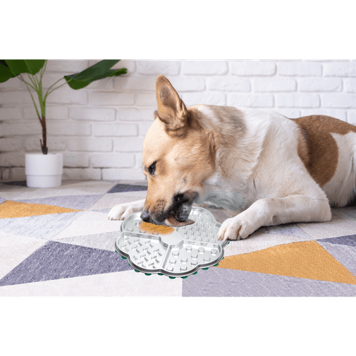 Lickmat de acero inoxidable para mascota AFP Único